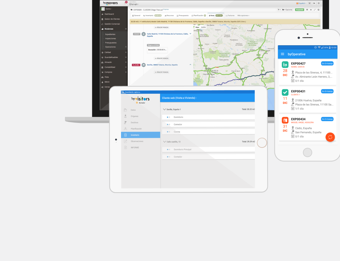 Business software interfaces