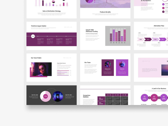 Portfolio preview one